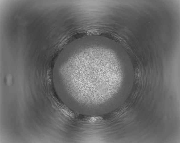 X0000061150663200512022316