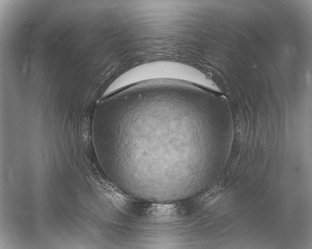 X0000061150665200512022316