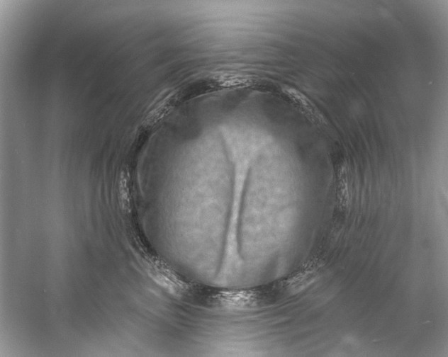 X0000061150667200512022316