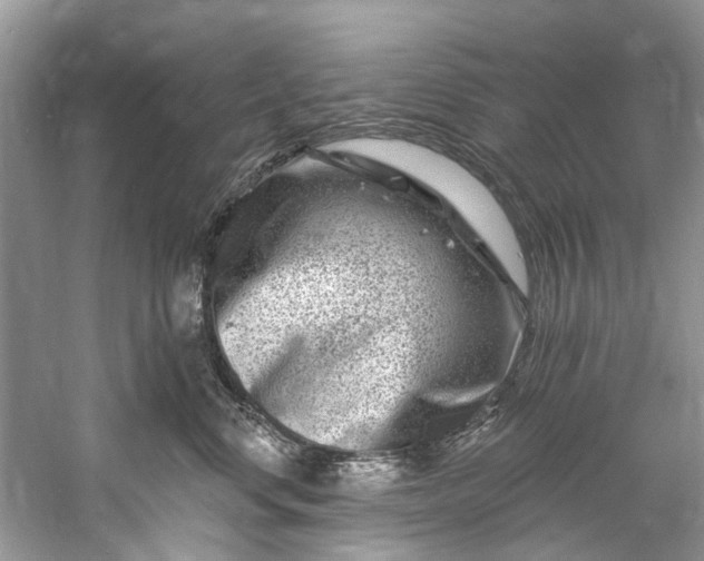 X0000061150668200512022316