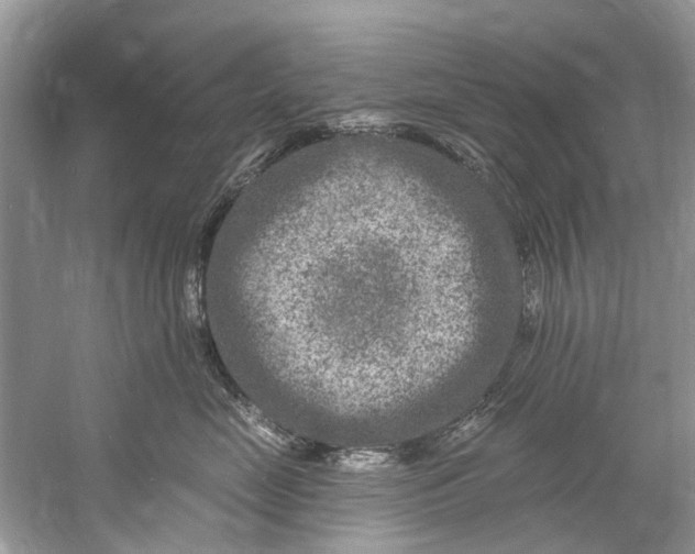 X0000061150669200512022316