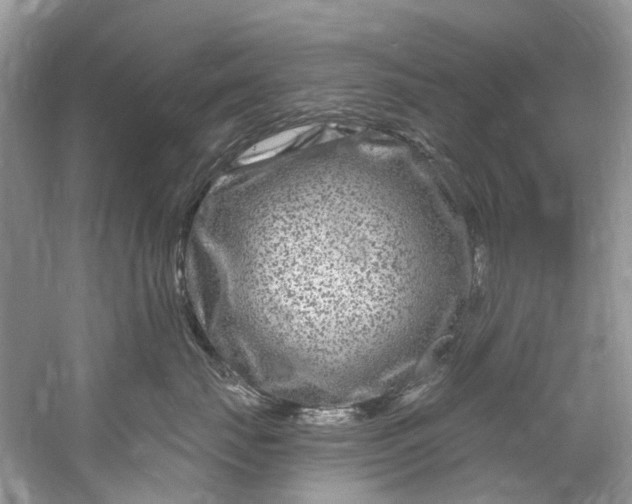 X0000061150671200512022316