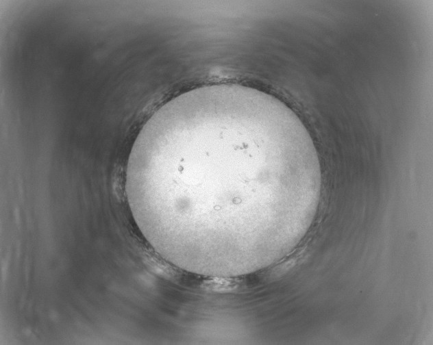 X0000061150672200512022316