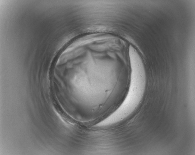 X0000061150674200512022315