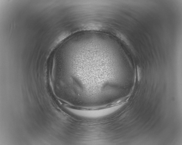 X0000061150675200512022315