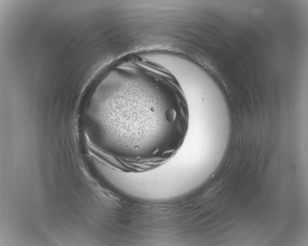 X0000061150676200512022315