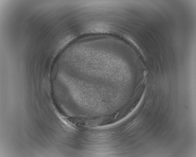 X0000061150677200512022315