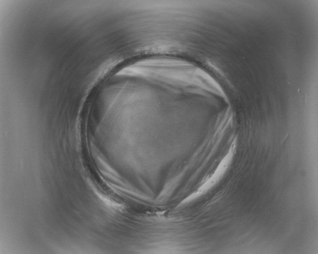 X0000061150678200512022315