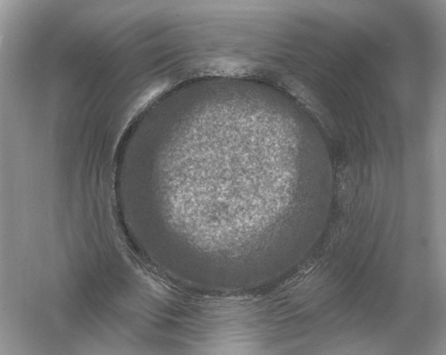 X0000061150679200512022315