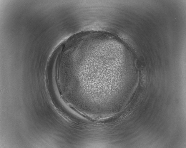 X0000061150680200512022315