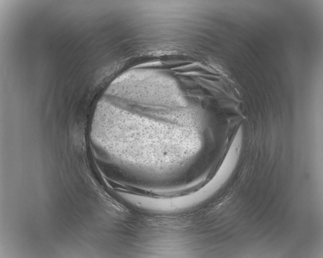 X0000061150681200512022315