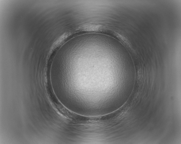 X0000061150682200512022315