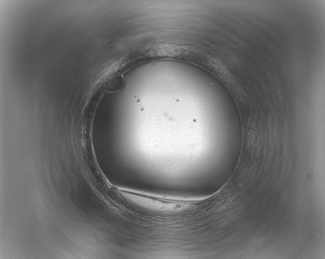 X0000061150683200512022315