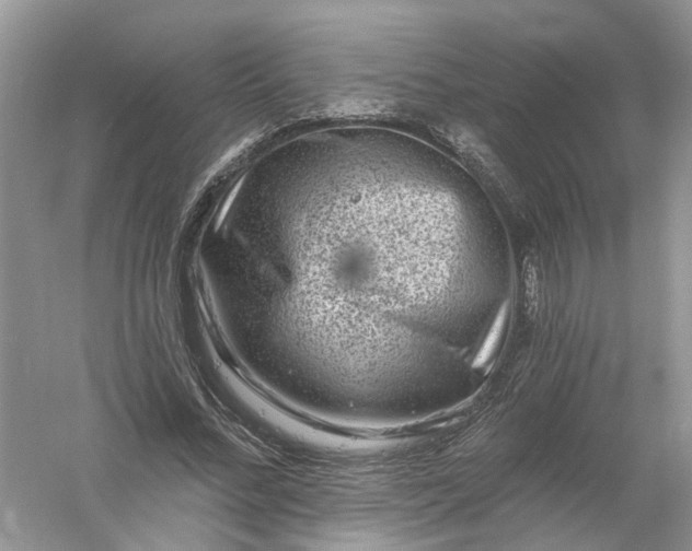 X0000061150684200512022315