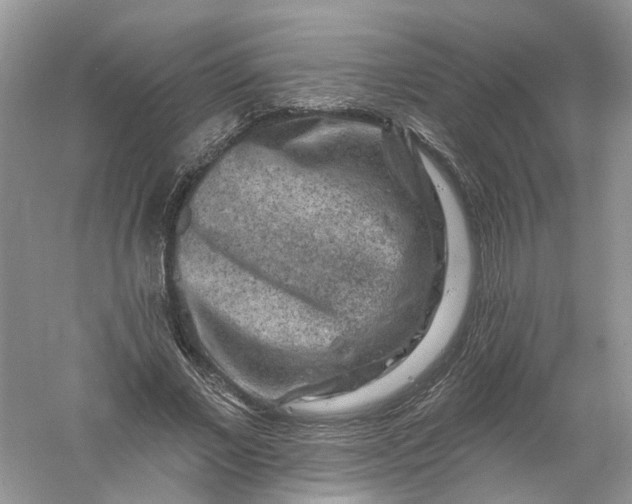 X0000061150685200512022315