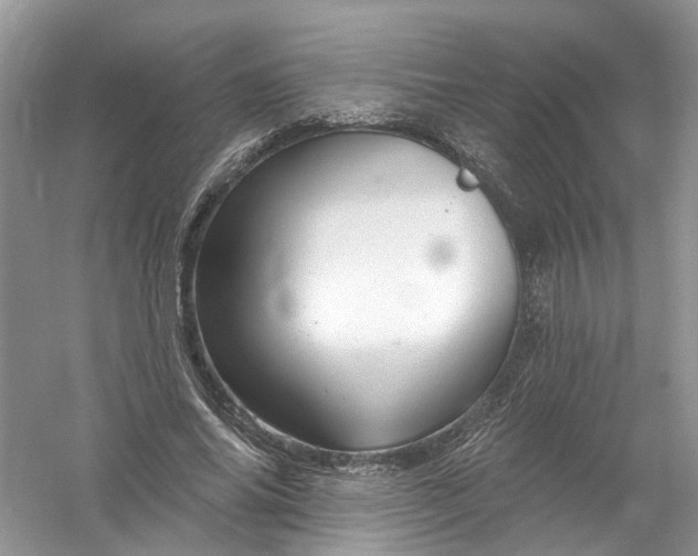 X0000061150686200512022315