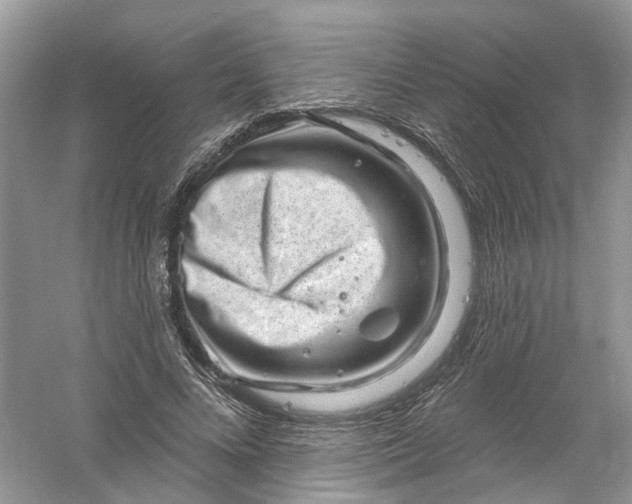 X0000061150688200512022315