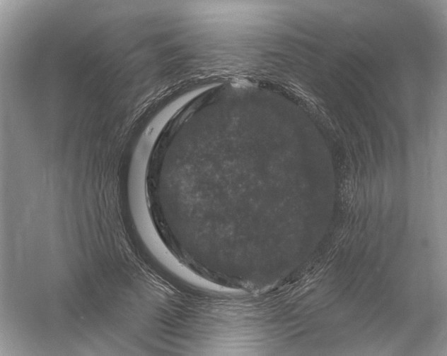 X0000061150689200512022315