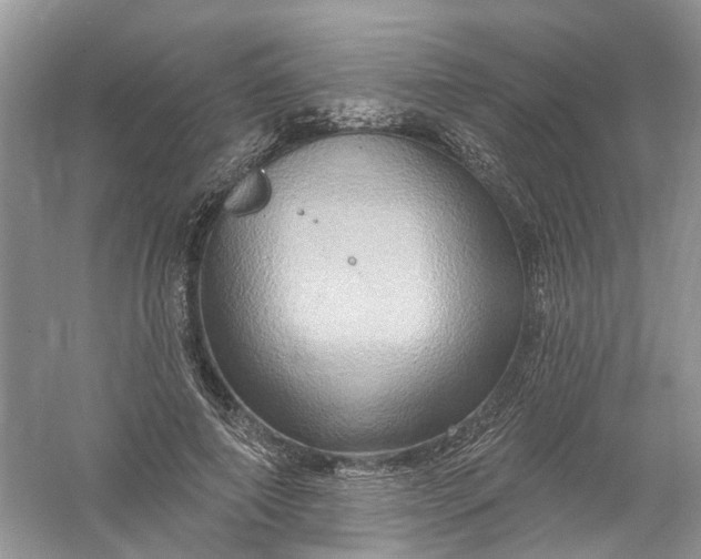 X0000061150690200512022315