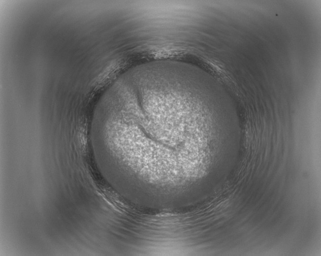 X0000061150691200512022315