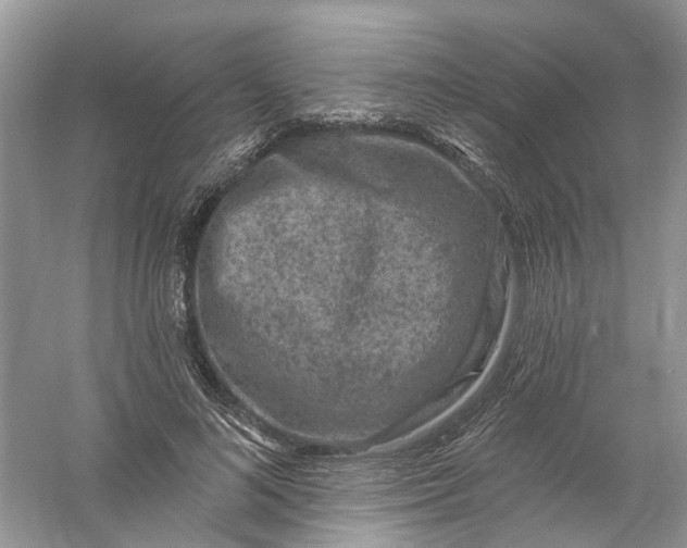 X0000061150692200512022315