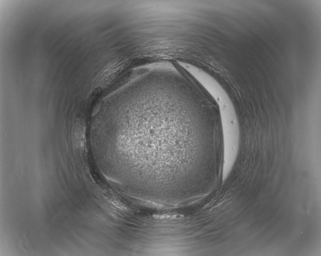 X0000061150693200512022315