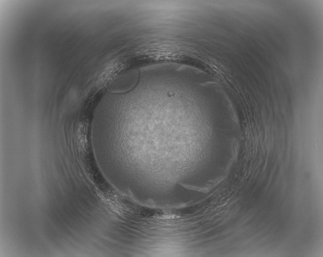 X0000061150695200512022315