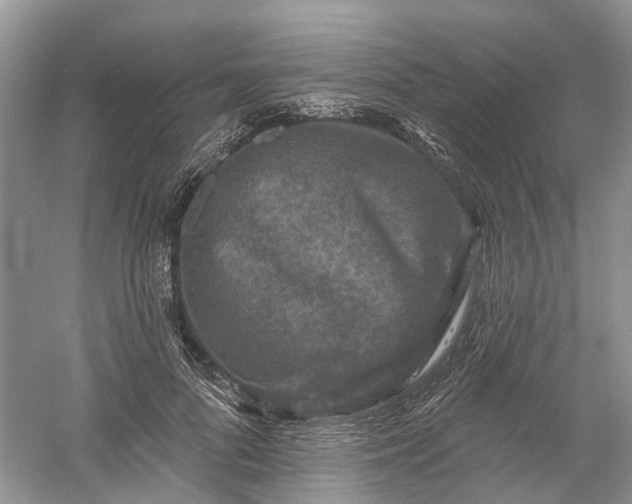 X0000061150696200512022315