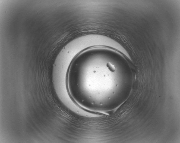 X0000061150697200512022315