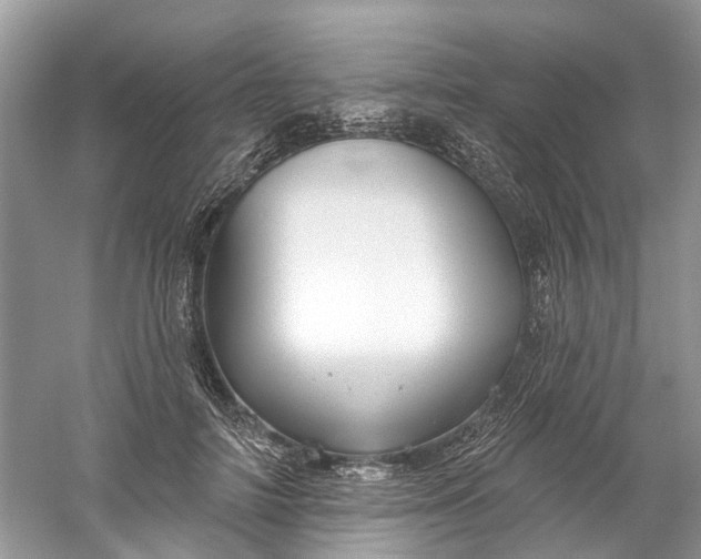 X0000061150698200512022315