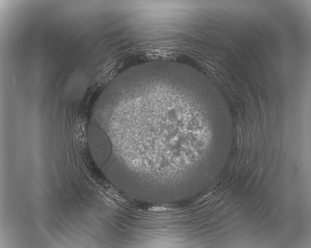 X0000061150699200512022314