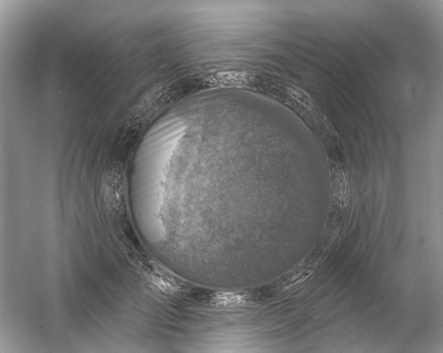 X0000061150701200512022314