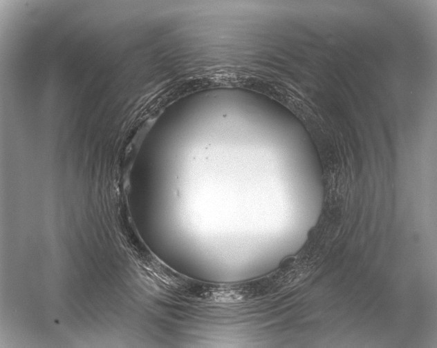 X0000061150702200512022314