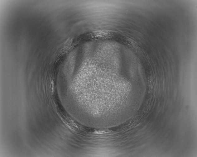 X0000061150703200512022314