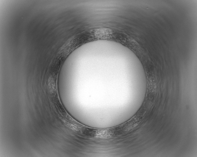 X0000061150705200512022314