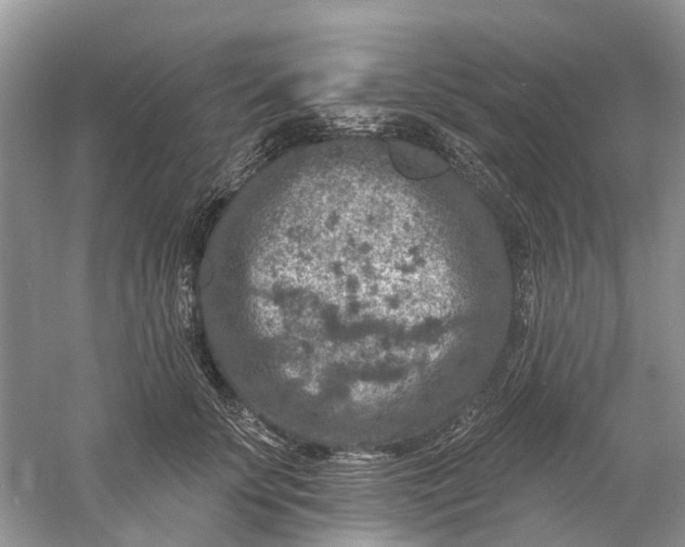 X0000061150707200512022314