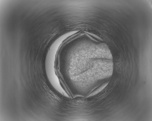 X0000061150708200512022314