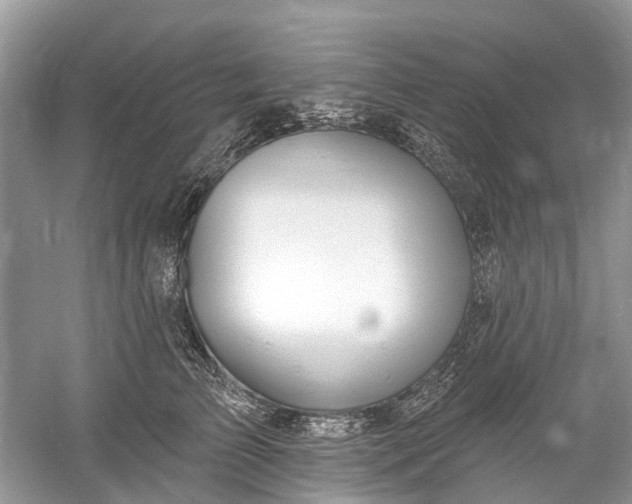 X0000061150709200512022314