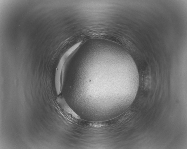 X0000061150710200512022314