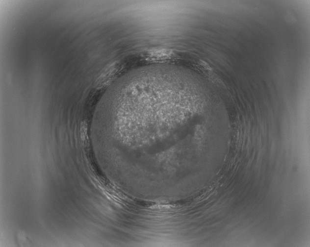 X0000061150711200512022314