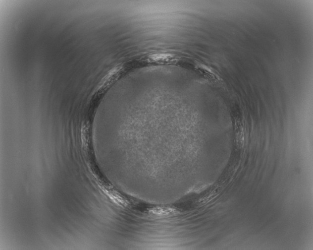 X0000061150712200512022314