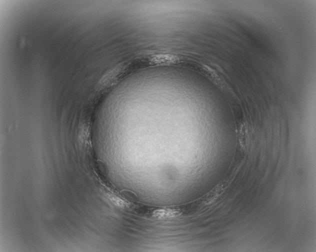 X0000061150714200512022314