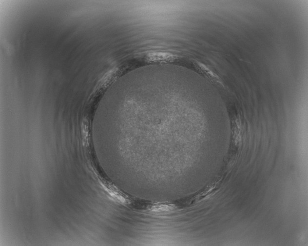 X0000061150716200512022314