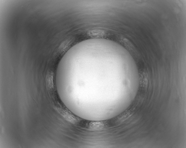 X0000061150717200512022314