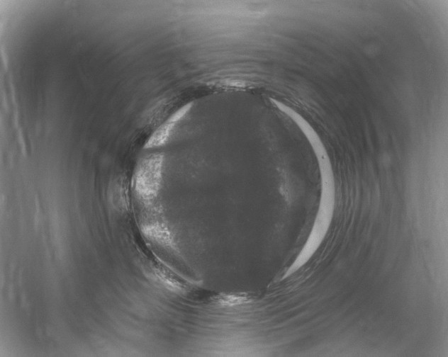 X0000061150718200512022314