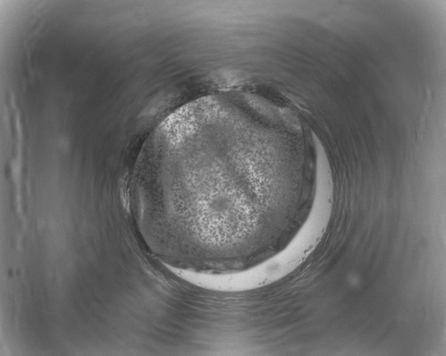 X0000061150719200512022314