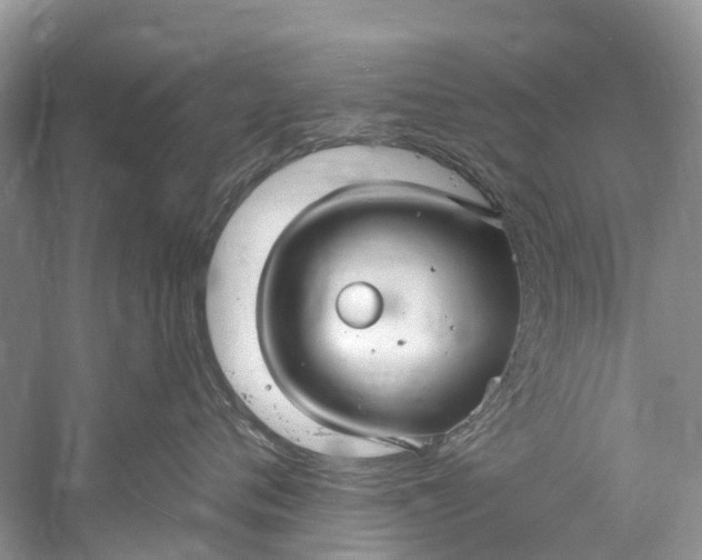 X0000061150720200512022314