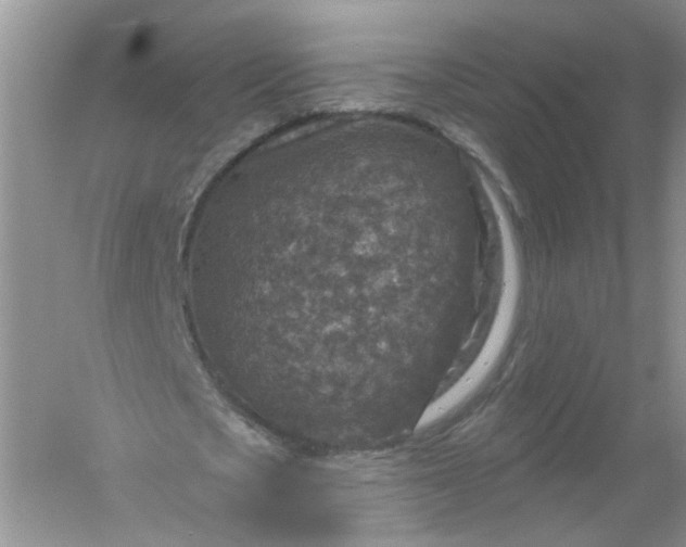 X0000061150721200512022313