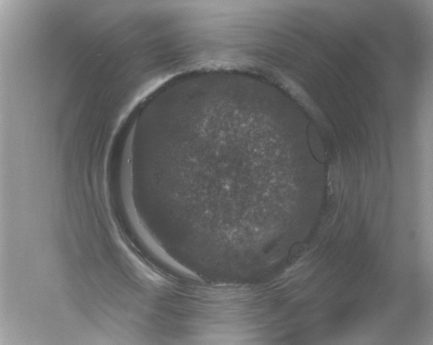 X0000061150722200512022313