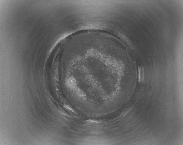 X0000061150723200512022313